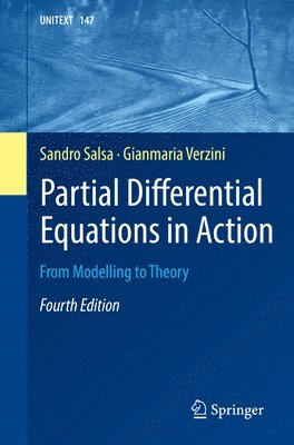 bokomslag Partial Differential Equations in Action