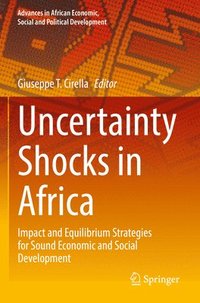 bokomslag Uncertainty Shocks in Africa