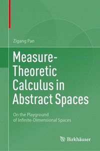 bokomslag Measure-Theoretic Calculus in Abstract Spaces