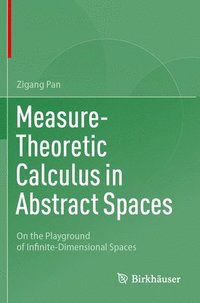 bokomslag Measure-Theoretic Calculus in Abstract Spaces