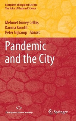 bokomslag Pandemic and the City