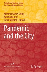 bokomslag Pandemic and the City