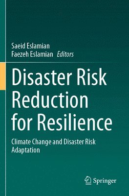 bokomslag Disaster Risk Reduction for Resilience