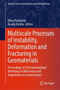 bokomslag Multiscale Processes of Instability, Deformation and Fracturing in Geomaterials