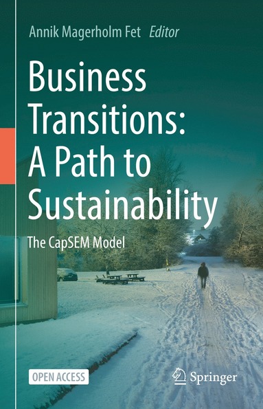 bokomslag Business Transitions: A Path to Sustainability