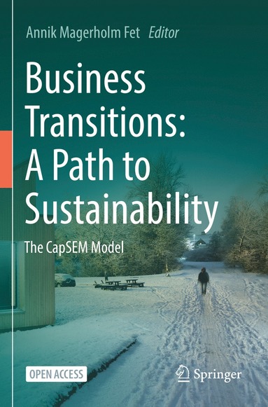 bokomslag Business Transitions: A Path to Sustainability
