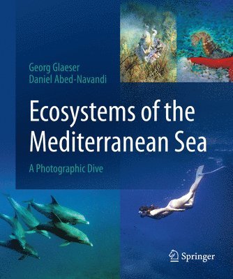 Ecosystems of the Mediterranean Sea 1