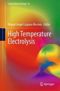 bokomslag High Temperature Electrolysis