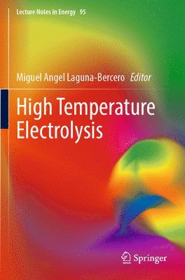 bokomslag High Temperature Electrolysis