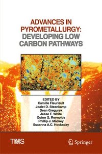 bokomslag Advances in Pyrometallurgy