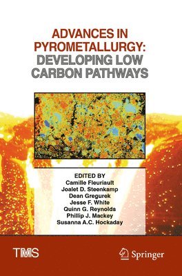 bokomslag Advances in Pyrometallurgy