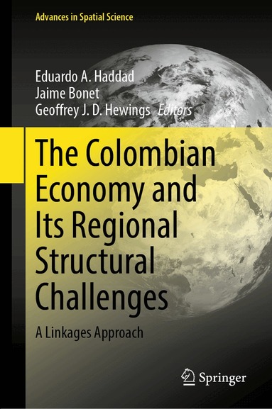 Eduardo A. Haddad, Jaime Bonet, Geoffrey J. D. Hewings - Colombian Economy and Its Regional Structural Challenges, Inbunden