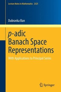 bokomslag p-adic Banach Space Representations