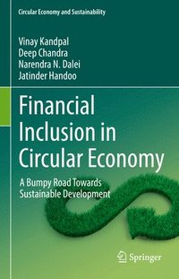 bokomslag Financial Inclusion in Circular Economy