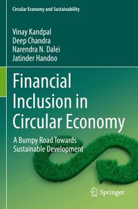bokomslag Financial Inclusion in Circular Economy