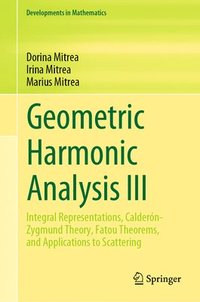 bokomslag Geometric Harmonic Analysis III