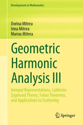 bokomslag Geometric Harmonic Analysis III