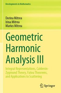 bokomslag Geometric Harmonic Analysis III