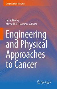 bokomslag Engineering and Physical Approaches to Cancer