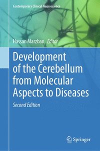 bokomslag Development of the Cerebellum from Molecular Aspects to Diseases