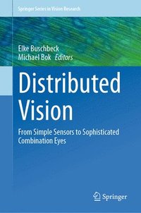 bokomslag Distributed Vision
