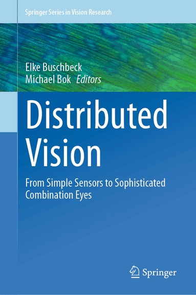 Elke Buschbeck, Michael Bok - Distributed Vision, Inbunden