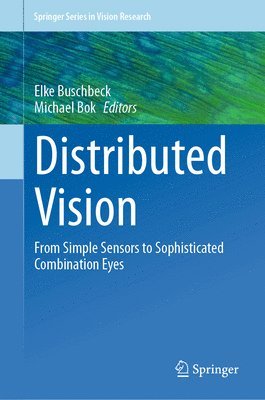 bokomslag Distributed Vision