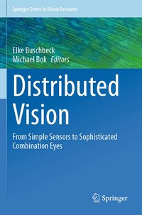 bokomslag Distributed Vision