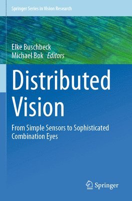 bokomslag Distributed Vision