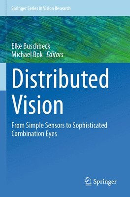 Elke Buschbeck, Michael Bok - Distributed Vision, Häftad