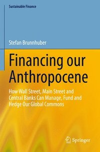 bokomslag Financing our Anthropocene