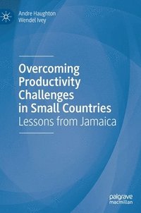 bokomslag Overcoming Productivity Challenges in Small Countries