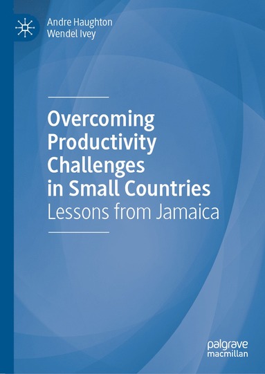 bokomslag Overcoming Productivity Challenges in Small Countries