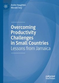bokomslag Overcoming Productivity Challenges in Small Countries