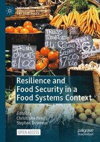 bokomslag Resilience and Food Security in a Food Systems Context