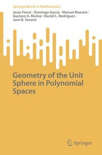 bokomslag Geometry of the Unit Sphere in Polynomial Spaces