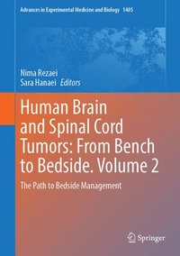 bokomslag Human Brain and Spinal Cord Tumors: From Bench to Bedside. Volume 2