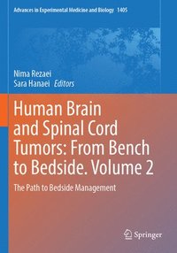 bokomslag Human Brain and Spinal Cord Tumors: From Bench to Bedside. Volume 2