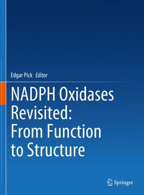 NADPH Oxidases Revisited: From Function to Structure 1
