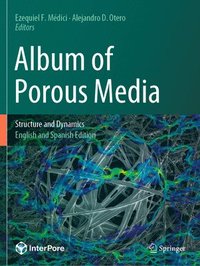 bokomslag Album of Porous Media