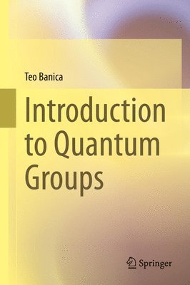 Introduction to Quantum Groups 1