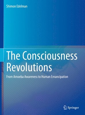 bokomslag Consciousness Revolutions
