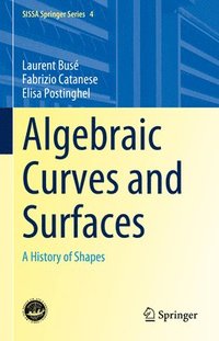 bokomslag Algebraic Curves and Surfaces