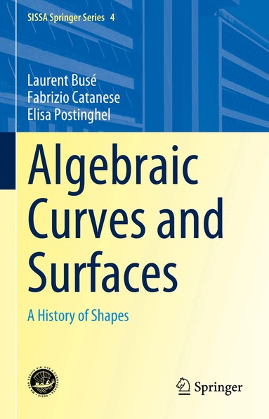 Laurent Busé, Fabrizio Catanese, Elisa Postinghel - Algebraic Curves and Surfaces, Inbunden