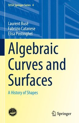 Algebraic Curves and Surfaces 1