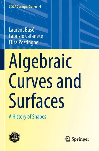 Laurent Busé, Fabrizio Catanese, Elisa Postinghel - Algebraic Curves and Surfaces, Häftad