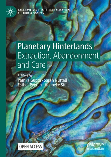 Pamila Gupta, Sarah Nuttall, Esther Peeren, Hanneke Stuit - Planetary Hinterlands, Inbunden