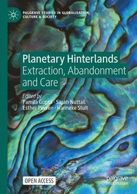 bokomslag Planetary Hinterlands