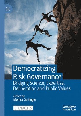 bokomslag Democratizing Risk Governance