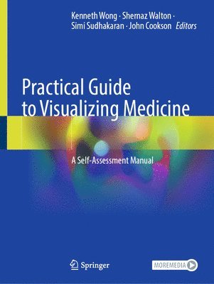 bokomslag Practical Guide to Visualizing Medicine